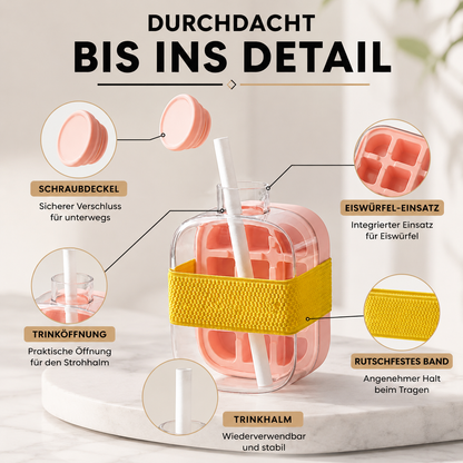 Praktische Eiswürfelform mit Deckel und Aufbewahrungsbox
