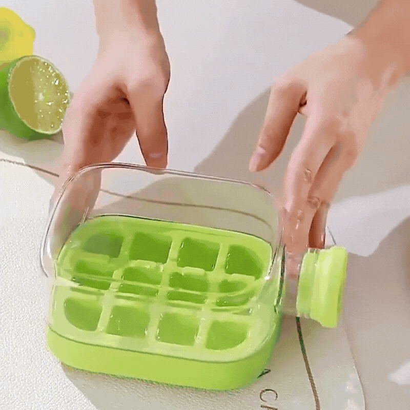 Praktische Eiswürfelform mit Deckel und Aufbewahrungsbox
