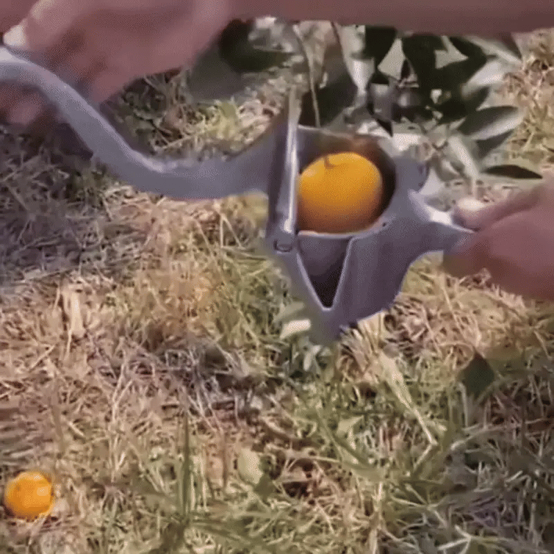 Manueller Citrus Juicer – Frischer Saft in Sekunden ohne Strom