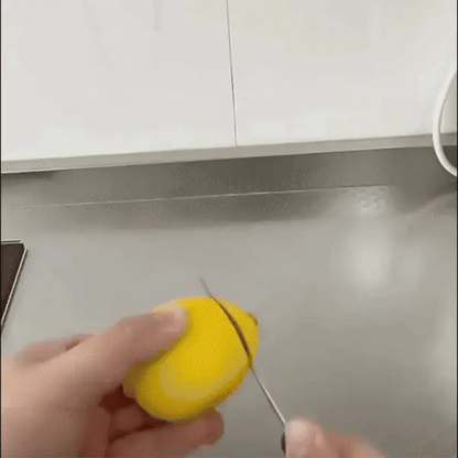 Portable Zitronenpresse mit Filter für frischen Saft